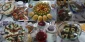 مسابقه آشپزی همکاران (آش و کوکو)