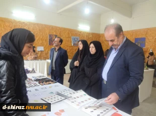 نماینده مجلس