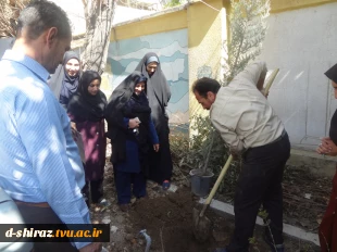 روز درختکاری