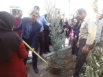 روز درختکاری