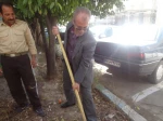 روز درختکاری