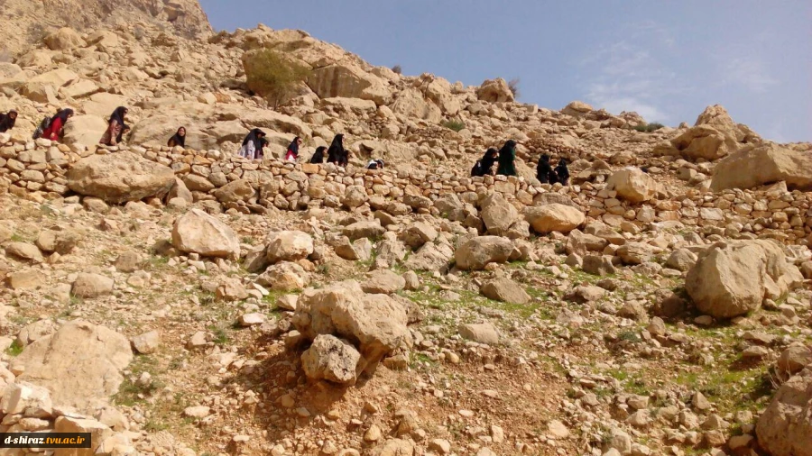 بازدید دانشجویان رشته معماری از شهر کازرون