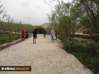 اردوی تنگ مروارید