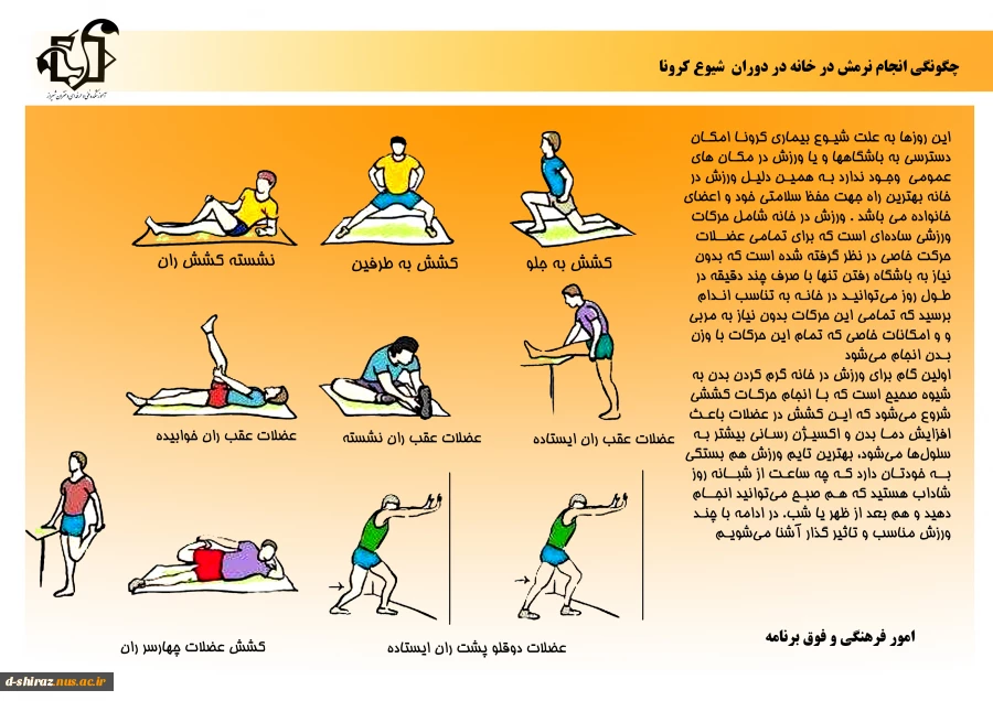 ورزش بروشور