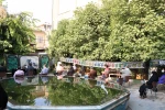 برگزاری اربعین حسینی در آموزشکده فنی وحرفه ای دختران الزهرا شیراز . 5