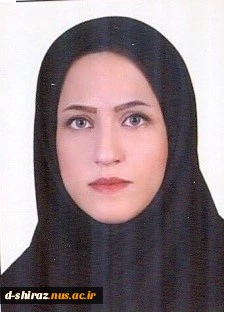 مدایم زاده
