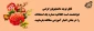 اطلاعیه شماره یک امتحانات