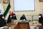 دیدارسرکار خانم دکترانسیه خزعلی معاون رئیس جمهور در امور زنان و خانواده در دانشکده فنی و حرفه ای دختران شیرازبا بانوان فرهیخته و نخبگان استان فارس 15