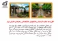 تور سیاحتی شیرازگردی بمناسبت دهه کرامت