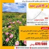 معاونت فرهنگی - دانشجویی به مناسبت هفته سراهای دانشجویی برگزار می کند 5