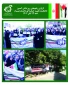 راهپیمایی یوم الله 13 آبان