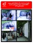 مقاومت مردم غزه در قاب نمایشگاه عکس و پوستر بسیج دانشجویی دانشکده فنی و حرفه ای دختران شیراز
