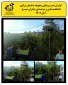 گزارش نصب روشنایی محوطه دانشکده فنی و حرفه ای دختران شیراز