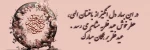 عیدفطر